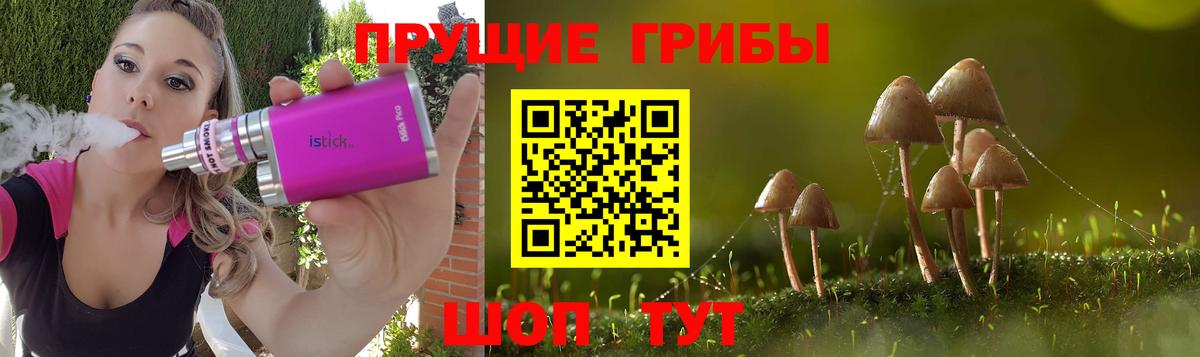 Орехово-Зуево  Псилоцибиновые грибы MAGIC MUSHROOMS  Псилоцибиновые грибы мицелий  наркошоп  Вход с VPN 